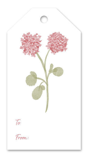 Pink Hydrangea Gift Tags (Set of 12)