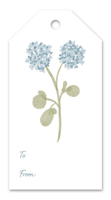 Blue Hydrangea Gift Tags (Set of 12)