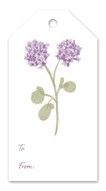 Purple Hydrangea Gift Tags (Set of 12)