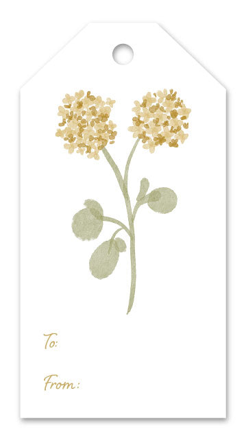 Yellow Hydrangea Gift Tags (Set of 12)